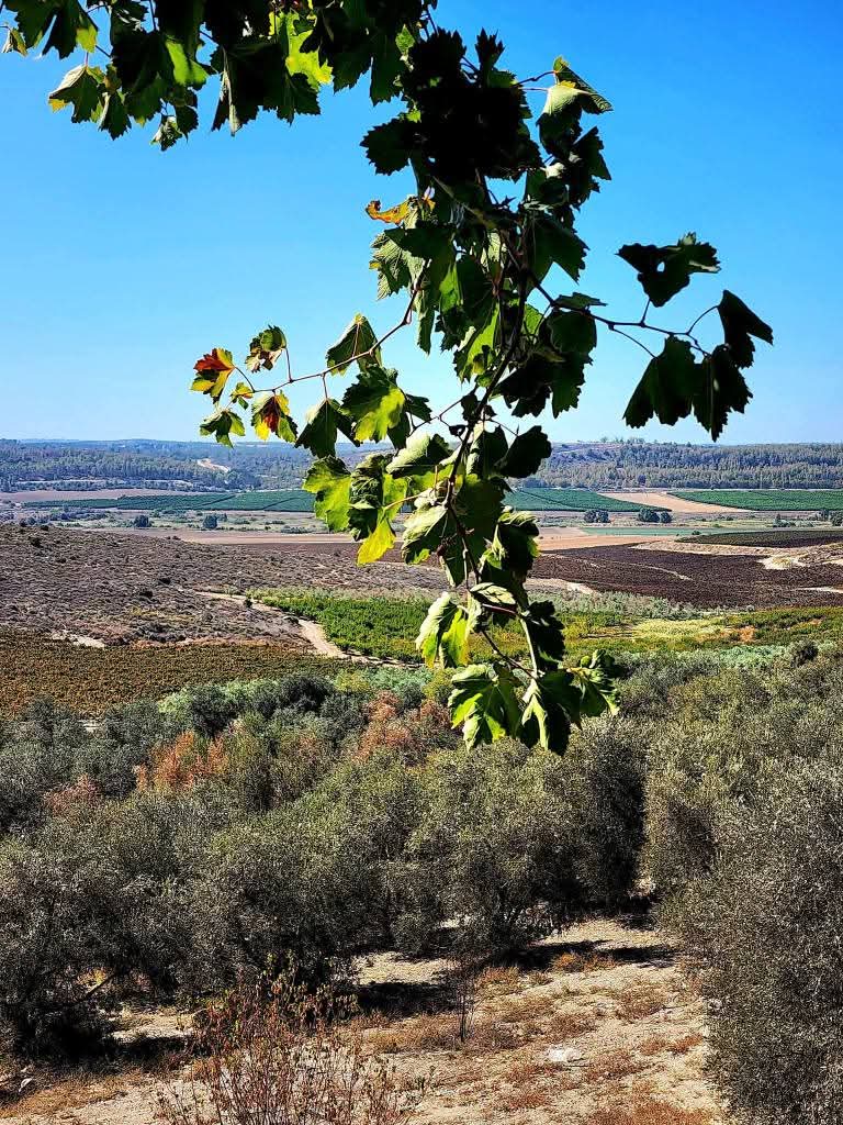 القدس | موسوعة القرى الفلسطينية